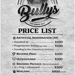 Dog Services on Wheels in Philadelphia, pa