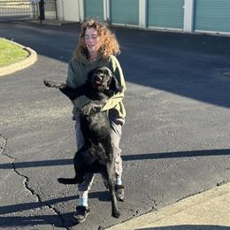 Loving Labradoodle Looking for a New Home in Dayton, oh