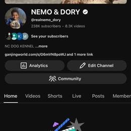 Exotic Puppies Available for Early Lock-In in Hickory, nc