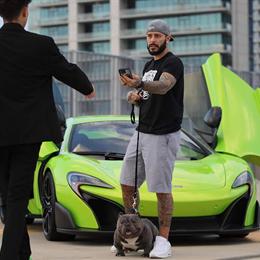 Extreme Micro Exotic Male Puppy for Sale in Redford, mi