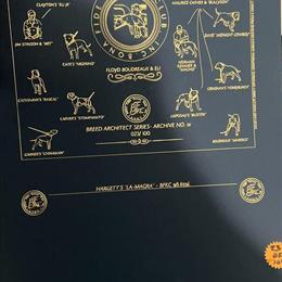 American Pit Bull Terrier Stud Available for $500 in Greenville, nc