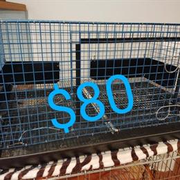 Rabbit or Guinea Pig Cage with Supplies in Philadelphia, pa