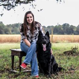 German Shepherd Puppies Available in Tennessee in Spring City, tn