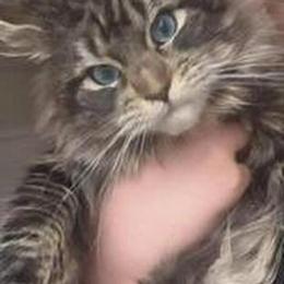 Gorgeous DBE Female Available in Concord, nc