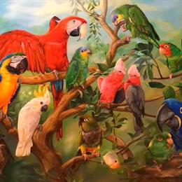 Bird Sanctuary Accepting Parrots and Exotic Birds in Romney, wv