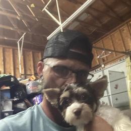 AKC Parti-Colored Yorkshire Terriers Ready for Forever Homes in Chesapeake, va