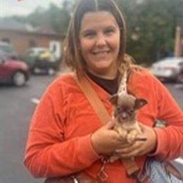 Chihuahuas from Pawhouse in Virginia in Virginia Beach, va