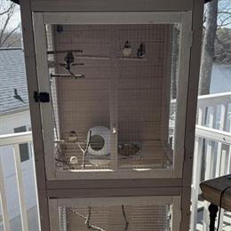 Zebra Finches with Large Cage for Sale in New London, nc