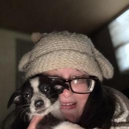 Collie Puppy Available for Adoption in Aurora, in