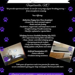 Canine Breeding and Newborn Care Services in Fayetteville, NC in Fayetteville, nc