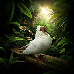 Crested Helmets for Sale in Kinston, nc