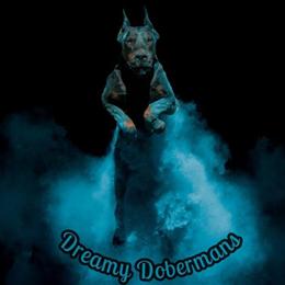 Doberman Puppies Available with Cropped Ears in Tampa, fl