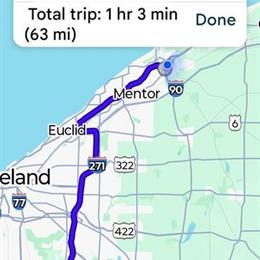 Americana Birds for Sale - Lavender and Splash Colors in Painesville, oh