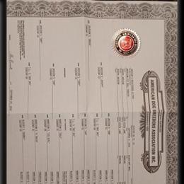 American Bulldog heavy bred Eli - ADBA registered, very intense pups in Manning, sc