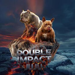 Crown pups available: 2 male and female, 8 weeks old in Suffolk, va