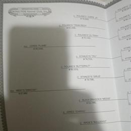 American Pitbull Terrier Stud for $500 in New York, ny