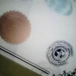 American Bully Pups from High-Quality Bloodlines Available in New York, ny