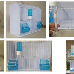 Goldfinch Show Cage Trainer for Sale in Pottstown, pa