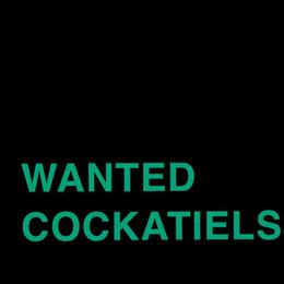 Looking for Cockatiels in Detroit, mi