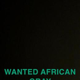 African Gray Parrot Wanted in Detroit, mi