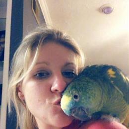 Blue Fronted Amazon Parrot for Sale in Three Oaks, mi