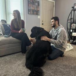 Murrie - Loving 7-Year-Old Dog Needs New Home Urgently in Grand Rapids, mi