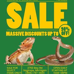 Bearded Dragons and Leopard Geckos Weekend Special in Saginaw, mi