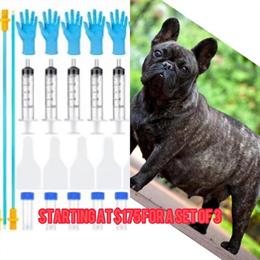 Breed Your American Bully with A.I. for Safe and Effective Results in Jonesboro, ga