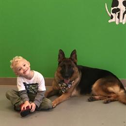 German Shepherd Puppies from Wisconsin Breeder in Milwaukee, wi