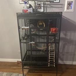 Large Bird Cage for Sale in Marion, oh