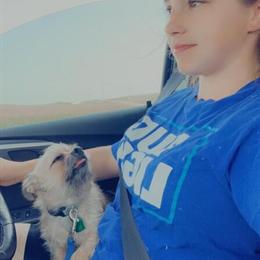 Chihuahua for Adoption - Skittish but Loving in Monroe, wi