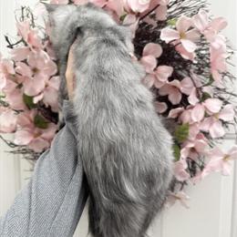 Maine Coon Silver Kitten for Adoption in Huntley, il