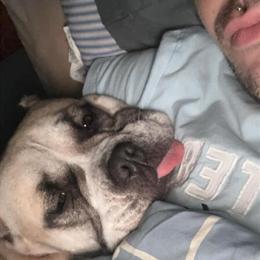 Pocket Pit Bull Looking for a Loving Home in Charlotte, nc