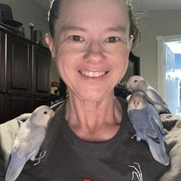 Peachface Lovebirds for Adoption in Colorado Springs, co