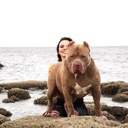 XL American Bully Puppies Available in Houston, tx