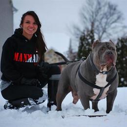 UKC Registered XXL Pitbull Puppies from ManMade Kennels in Houston, tx