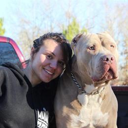 XXL Blue Nose Pitbull Puppies for Sale in Houston, tx