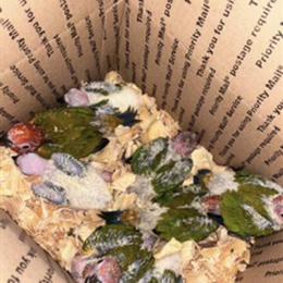 Buying Unweaned Baby Birds in Wrightsville, pa