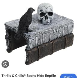 Iridescent Blue Tarantula for Adoption in Grove City, oh