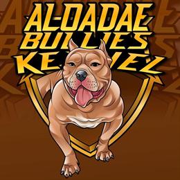 American Bullies - 6 Month Old Females for Sale in York, pa