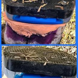 Horse Service - Farrier, Horseshoer, or Blacksmith Available in Pacolet, sc