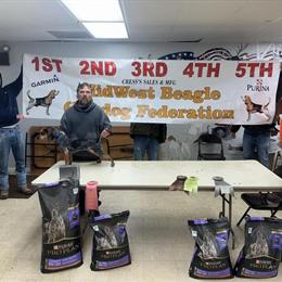 Beagle Puppies - Blue Tick, 11 Weeks Old in Romeo, mi