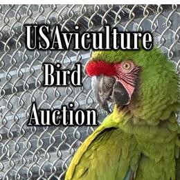 Join Our New Online Bird Auction! in Hobe Sound, fl
