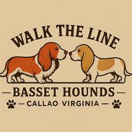 Basset Hound Puppies Planned for July 2026 in Callao, va
