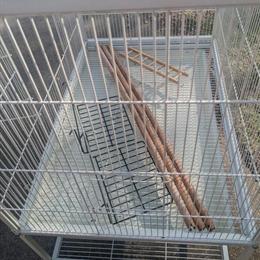 Flight Cage for Birds - Clean and Ready for $75 in Doylestown, oh