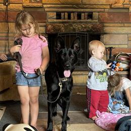 AKC Black German Shepherd Puppies Ready for Adoption in Sunfield, mi