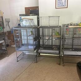 Large and Small Cages for Exotic Pets in Waxhaw, nc