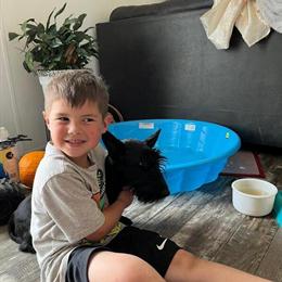 Registered Scottish Terrier Puppies in Calabash, nc