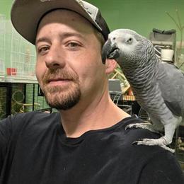 Male African Grey Parrot for Sale in Waxhaw, nc