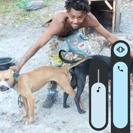 American Pit Bull Terrier - Gch Bloodline, Pregnant Female for Sale in Jacksonville, fl